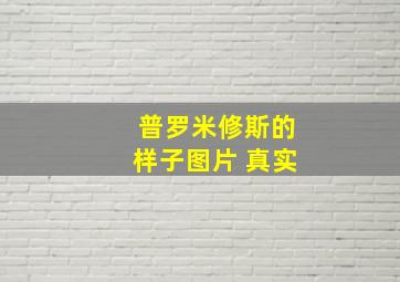 普罗米修斯的样子图片 真实